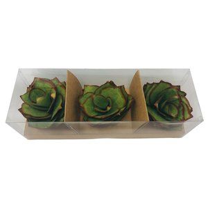 Hallmark Handcrafted Decorative Succulents Plants Set of 3 Home Decor
